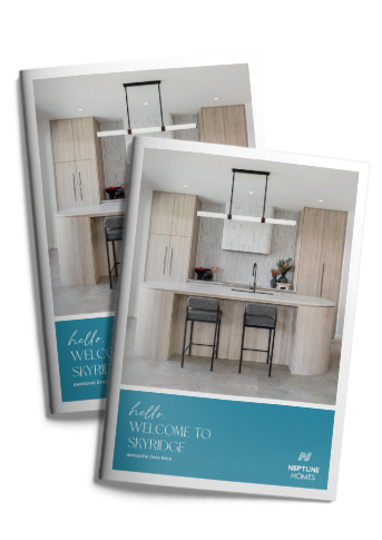 SkyRidge Display Guide