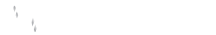 neptune homes logo white